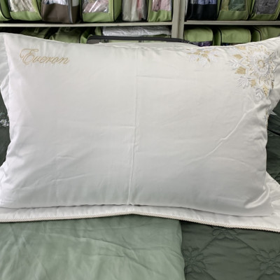2 Vỏ gối nằm Everon EPT21034 ( size 45*65cm )