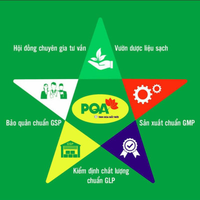 Nga Trưởng Phong PQA Hỗ Trợ Thanh Nhiệt Giải Độc, Giảm Mụn Nhọt Và Mẩn Ngứa Ngoài Da Hộp 12 Gói