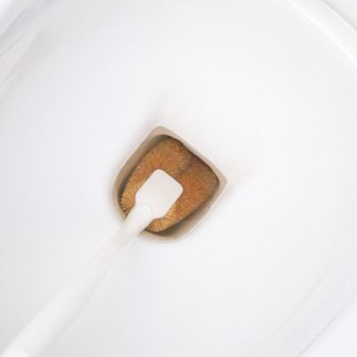 Combo 03 chiếc chổi cọ toilet xơ dừa hàng nội địa Nhật Bản