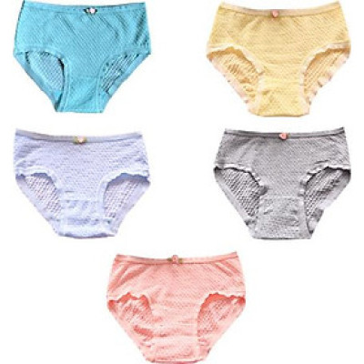 COMBO 05 QUẦN LÓT NỮ TĂM TRE HQ SIÊU ĐẸP, TÔN DÁNG, THOÁNG MÁT QL1605 (Màu ngẫu nhiên)