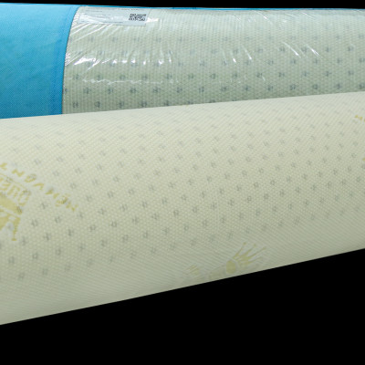 Gối Ôm Cao Su Vạn Thành Bolster VTGCSO20100 (20 x 100 cm) - Trắng