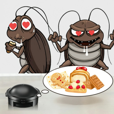 Thuốc Diệt Gián Hộp 12 Viên, Diệt Tận Gốc, Dễ Sử Dụng, Tác Dụng Lâu Dài, An Toàn