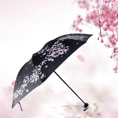 Dù xếp hoa anh đào - Màu đen