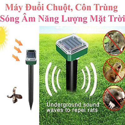 Bảo Vệ Hiệu Quả với Máy Đuổi Chuột Năng Lượng Mặt Trời Hàng Cao Cấp