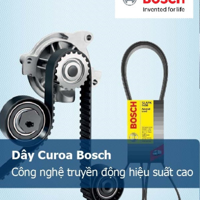 Dây curoa Bosch 1065 (163 ZBS 25) -Hyundai H100/H200