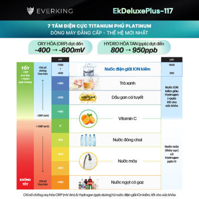 Máy Lọc Nước Điện Giải iON Kiềm EVERKING EKDeluxePlus-117 - Hàng Chính Hãng
