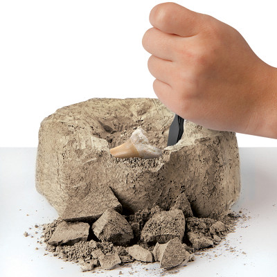 Bộ Đồ Chơi DISCOVERY Khảo Cổ Truy Tìm Răng Cá Mập 2Pc 1423004791