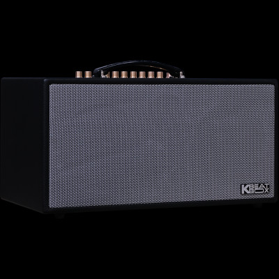 Dàn âm thanh di động xách tay ACNOS CS450SR