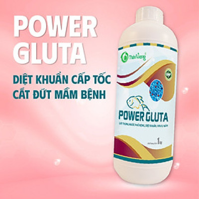 POWER GLUTA - Xử lý nước phổ rộng, diệt khuẩn, virus, nấm