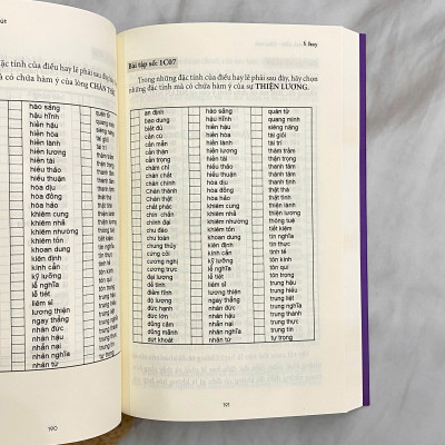 COMBO HỘP 4 CUỐN: Con nhà văn (Thiếu Nhi - Nhập môn - Lập thân - Cầm bút)