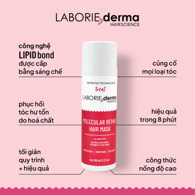 Mặt nạ phục hồi dành cho tóc hư tổn LABORIE derma Molecular Repair Hair Mask 100ml