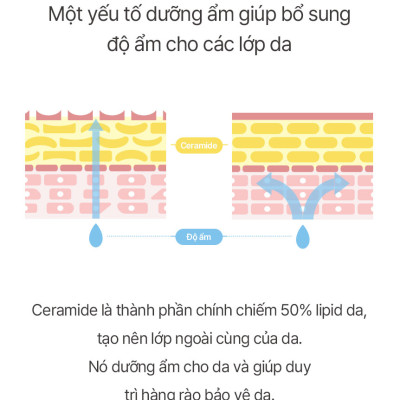 Kem Dưỡng Ẩm Mặt MESABLUE REFRESING BLUE GEL 5ml x 20ea