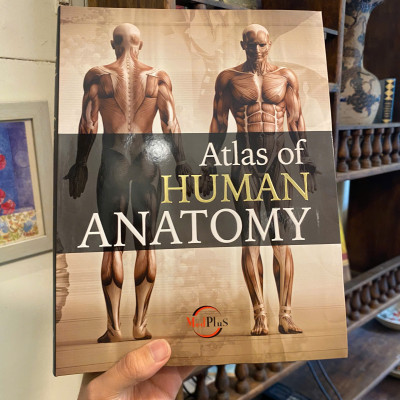 Sách - Human Anatomy by Jordi Vigue | Medical Science / Reference Nonfiction / Ngoại văn