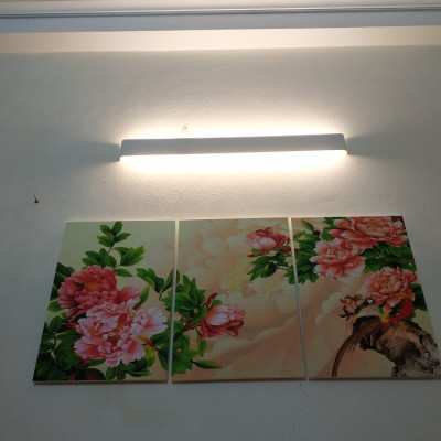 Đèn tường BOAR hiện đại, tiện dụng trang trí nội thất sang trọng [ ẢNH THẬT 100%].