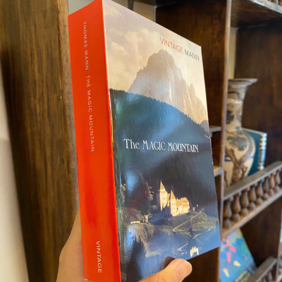 Sách - The Magic Mountain by Thomas Mann | Fiction / Classics / German Literature / Sách Ngoại văn
