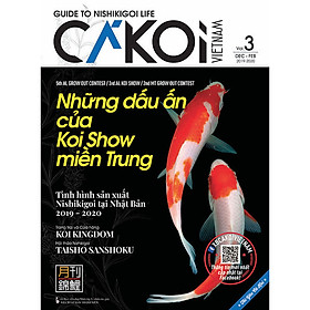 Cá Koi Vietnam - Tập 3
