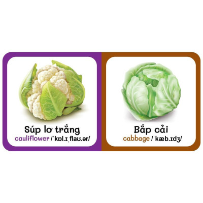 Sách - Từ Điển Bằng Hình Đầu Tiên Của Bé Từ 0-6 tuổi - Song Ngữ Anh Việt - Combo 9 Cuốn - Việt Thư