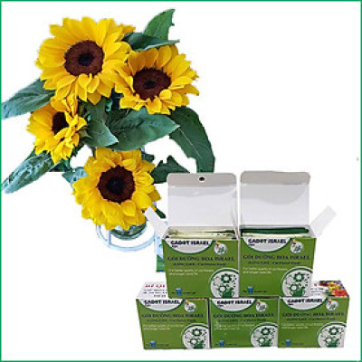 Thuốc cắm hoa Hướng Dương lâu tàn nhập khẩu Israel (Set 50 gói) giúp hoa tươi gấp 2 lần và 14 ngày không thay nước mới