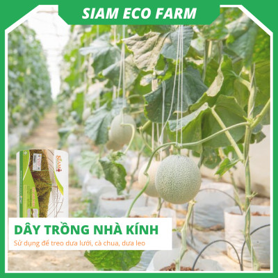 Dây treo dưa lưới, dây treo cà chua, sợi se nông nghiệp siêu bền