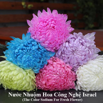 10 chai Nhuộm Hoa tươi dạng nước (Chai 1L x 10 Màu) Công Nghệ Israel giúp hoa nhuộm đổi màu theo ý muốn nhuộm trên 250 cành hoa x 1 chai
