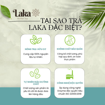 COMBO Tặng Quà - 2 Hộp Trà Cà Phê Cascara Túi lọc LAKA 80gr, 100% quả cà phê chín mọng