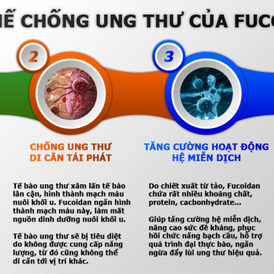 Combo Viên Uống Okinawa Fucoidan Và Tinh Chất Nghệ Mùa Xuân Và Nấm Agaricus Của Kanehide Bio Nhật Bản, Hỗ Trợ Phòng Ung Thư, Ức Chế Sự Phát Triển Tế Bào, Tăng Hệ Miễn Dịch Cho Cơ Thể