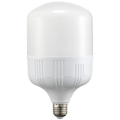 Bóng đèn Led Bulb 30W thân nhựa Vi-Light sáng trắng 6500K