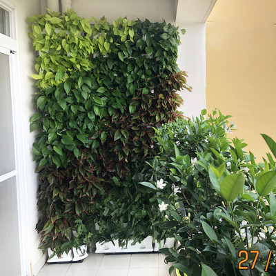 Chậu Trồng Cây Đứng kèm Hệ Thống Tưới Nhỏ Giọt  và bón Phân Cho Cây (Hàng Nhập Khẩu - Combo 8 Module)