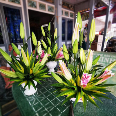 Bột cắm hoa cắt cành Longlife SG của Israel - Food For Cut Flower (Combo 3 hộp 1kg), giúp shop hoa bảo quản hoa tươi lâu và không thay nước, cắt tỉa gốc hay hạn chế thay hoa định kỳ theo tuần