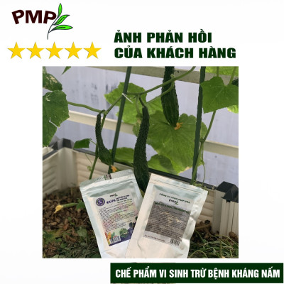 Bộ trừ bệnh vi sinh, sinh học PMP cho cà chua bạch tuộc - Killpa, Trichoderma, Biomic, Green Neem, Giấm gỗ Apy, Mật rỉ đường