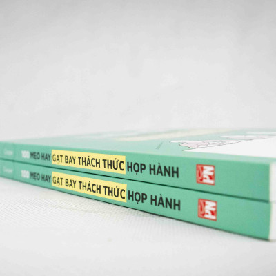 100 Mẹo Hay Gạt Bay Thách Thức Họp Hành (Lại Chuẩn Bị Họp Ư? Bạn Cần Cuốn Sách Này)