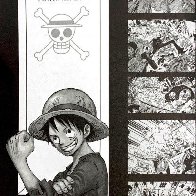 Tiểu Thuyết One Piece - Chuyện Chưa Kể Về Băng Mũ Rơm