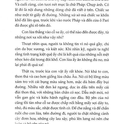Trong Gia Đình