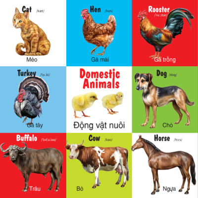 Sách - 100 Từ Đầu Tiên - Các Loài Động Vật - Song Ngữ (VT)