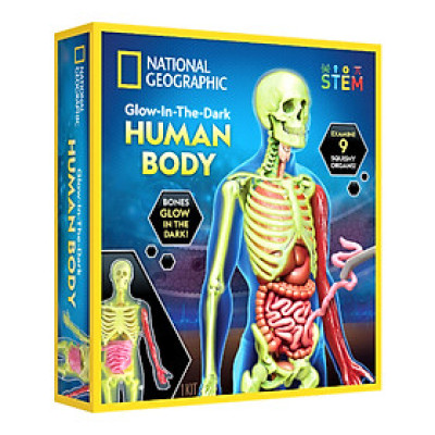 Đồ Chơi National Geographic Khám Phá Bộ Phận Cơ Thể Người STEAM RTHUMBODY