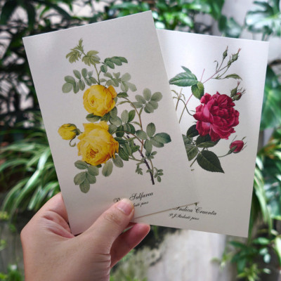 BỘ POSTCARD HOA HỒNG sử dụng 100 bức minh hoạ gốc trong sách Les Roses – Redoute (Nho Xanh)