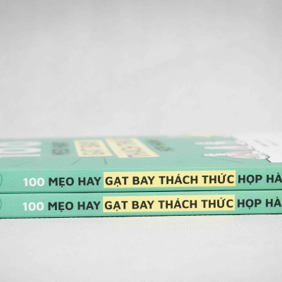 100 Mẹo Hay Gạt Bay Thách Thức Họp Hành (Lại Chuẩn Bị Họp Ư? Bạn Cần Cuốn Sách Này)