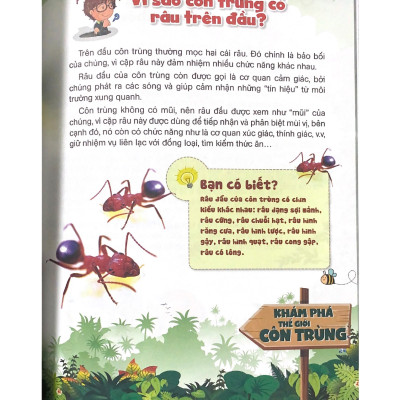 10 Vạn Câu Hỏi Vì Sao? Khám Phá Thế Giới Côn Trùng - Vanlangbooks