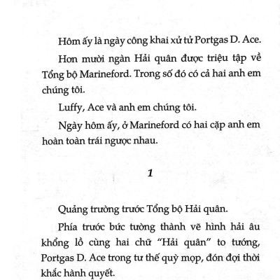 Tiểu Thuyết One Piece - Chuyện Chưa Kể Về Băng Mũ Rơm