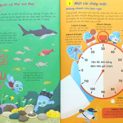 100 Bí Ẩn Đáng Kinh Ngạc Về Cơ Thể Người (Usborne - 100 Things To Know About The Human Body)