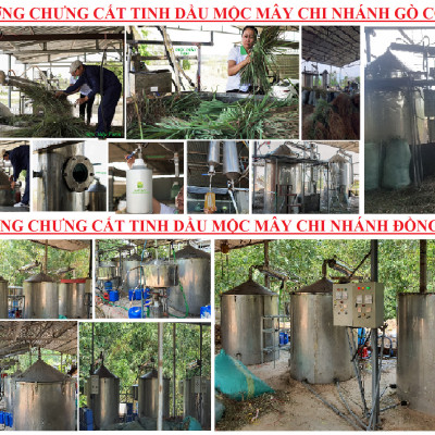 Tinh dầu Vỏ Quýt 100ml Mộc Mây - tinh dầu thiên nhiên nguyên chất Organic hữu cơ 100% - chất lượng và mùi hương vượt trội