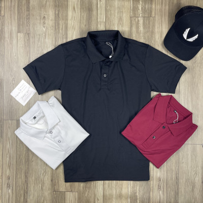 Áo thun Polo Basic tập gym nam DO GYM SHOP polo trơn thun cá sấu