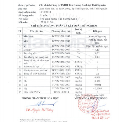 Combo 10 hộp trà xanh túi lọc Tân Cương Xanh (20 gói x 2 gram)
