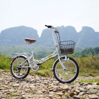 Xe đạp gấp CALLI Q3