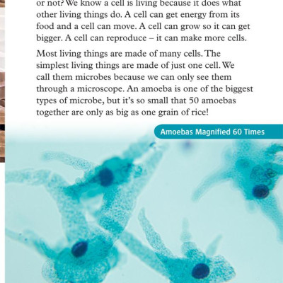 Oxford Read and Discover 6 Cells and Microbes
