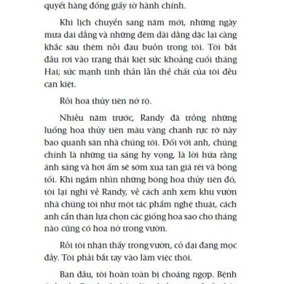 Chicken Soup For The Soul - Nắng Ấm Sau Mưa