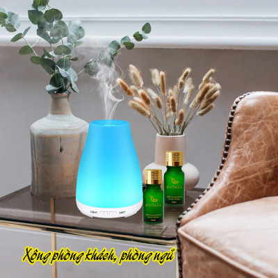 Tinh Dầu Hoa Hồi Biyokea (10ml)