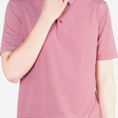 Áo Phông Nam Kẻ Ngang Aligro ALGAPC018