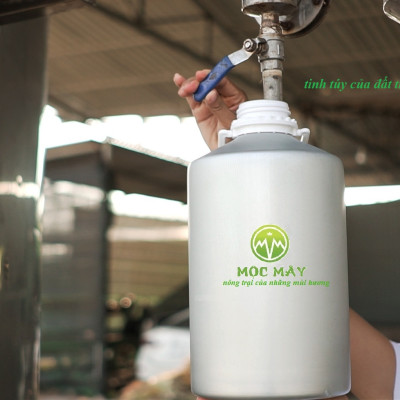 Tinh dầu Quế 50ml nguyên chất từ thiên nhiên - Mộc Mây