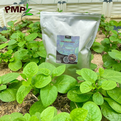 Acid Humic Canada PMP 01Kg